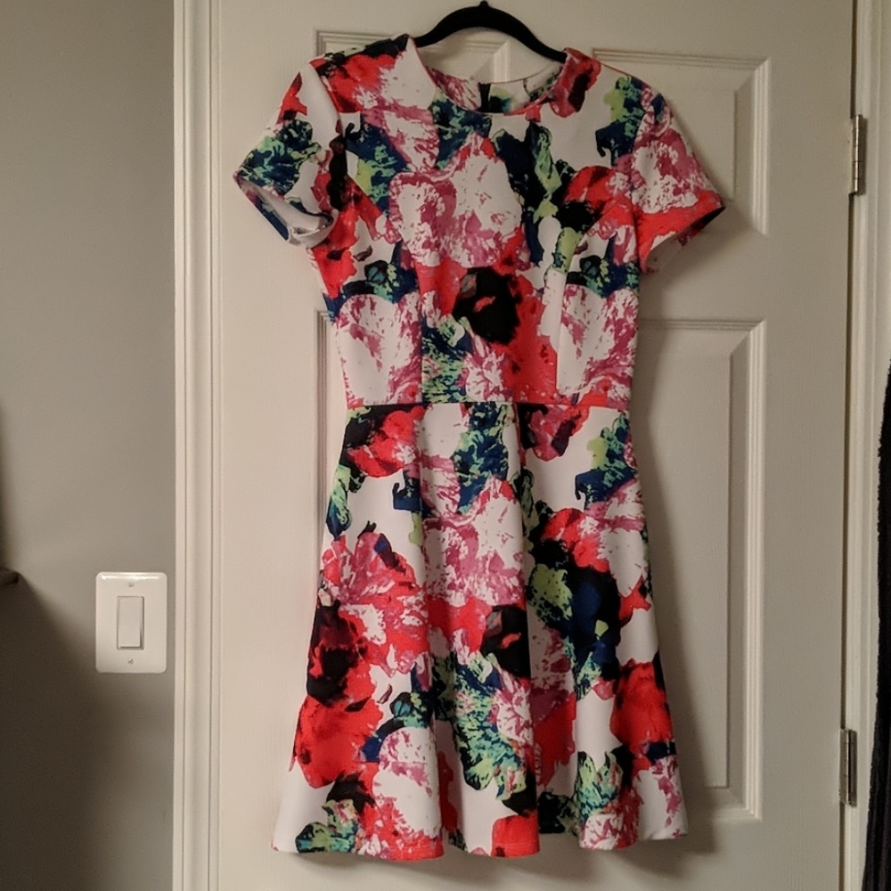Milly for Design Nation dress